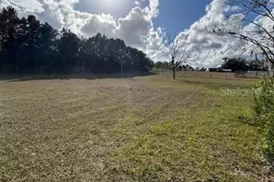 2095 Haas Rd, Apopka, FL 32712 - Photo 15