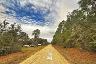 0 Usina Ave, Interlachen, FL 32148 - Photo 1