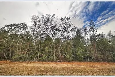 0 Usina Avenue, Interlachen, FL 32148 - Photo 3