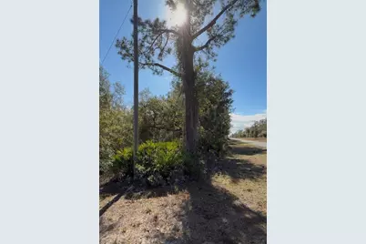 923 Gaillardia Drive, Indian Lake Estates, FL 33855 - Photo 3