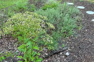 2012 Cordova Dr, Sanford, FL 32771 - Photo 29