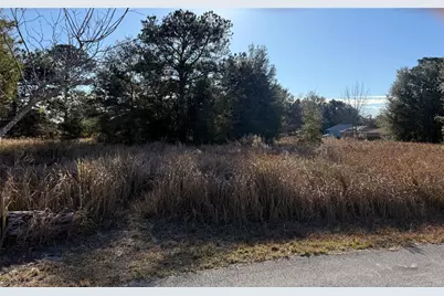 Dogwood Loop Court, Ocala, FL 34472 - Photo 3