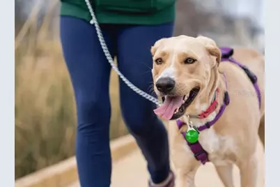 804 SW 80th Way, Gainesville, FL 32607 - Photo 25
