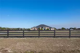 29222 Can Do Ln, Tavares, FL 32778 - Photo 53