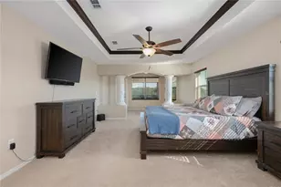 29222 Can Do Ln, Tavares, FL 32778 - Photo 11