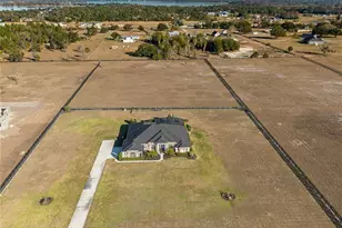29222 Can Do Ln, Tavares, FL 32778 - Photo 3
