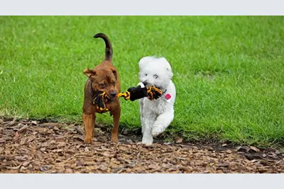 57 Enclave Avenue, Palm Coast, FL 32164 - Photo 31