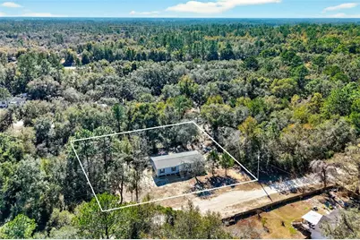 11116 NE 64th Street, Williston, FL 32696 - Photo 41