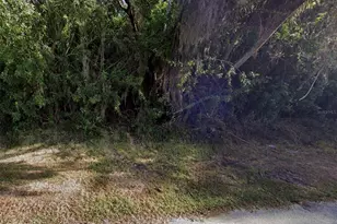 21032 Alpine Ave, Port Charlotte, FL 33952 - Photo 1