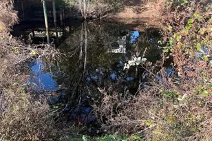 118 Creekside Rd, Satsuma, FL 32189 - Photo 3