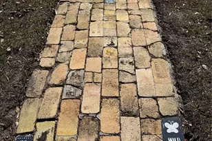 764 W Comstock Ave, Winter Park, FL 32789 - Photo 3