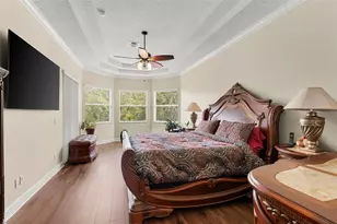 6234 Tremayne Dr, Mount Dora, FL 32757 - Photo 15