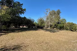 608 Doby Ave, Orlando, FL 32805 - Photo 21