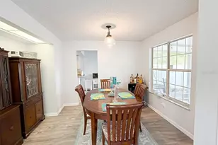 3821 E Grant St, Orlando, FL 32812 - Photo 11