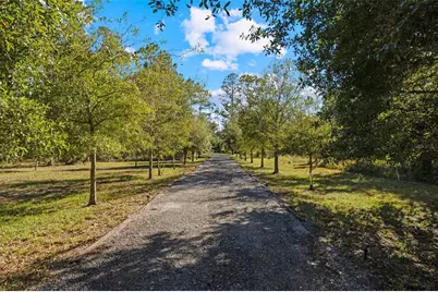 37810 Boyd Road, Myakka City, FL 34251 - Photo 69
