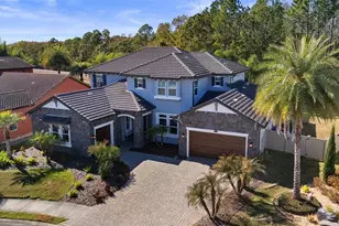 28787 Corbara Pl, Wesley Chapel, FL 33543 - Photo 59