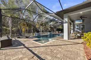 28787 Corbara Pl, Wesley Chapel, FL 33543 - Photo 49