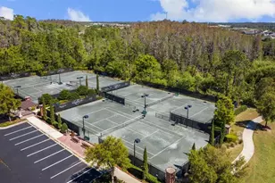 28787 Corbara Pl, Wesley Chapel, FL 33543 - Photo 85