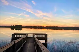 16737 Harper Cove Dr, Winter Garden, FL 34787 - Photo 41