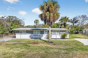 4505 Cottonwood Dr, New Port Richey, FL 34652 - Photo 5