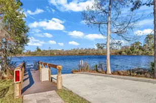 10414 Royal Cypress Way, Orlando, FL 32836 - Photo 45