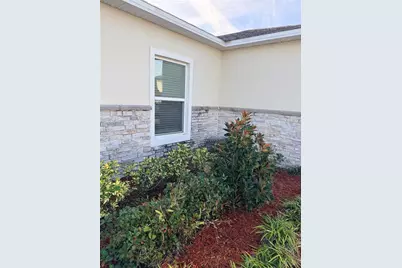 4209 Beargrass Street, Clermont, FL 34714 - Photo 9