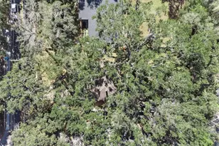 738 S Mills Ave, Orlando, FL 32801 - Photo 23