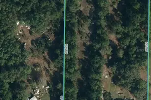 4429 E Quail Run, Avon Park, FL 33825 - Photo 35