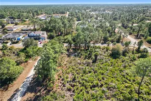 774 Kirkman Ave, Lehigh Acres, FL 33974 - Photo 3