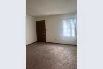 1438 E 1st Avenue, Mount Dora, FL 32757 - Photo 3