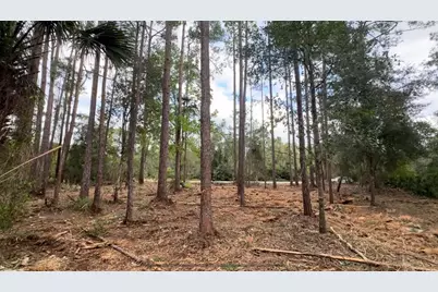 107 S Georgetown Point Road, Georgetown, FL 32139 - Photo 5