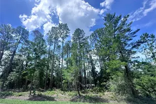 107 S Georgetown Point Rd, Georgetown, FL 32139 - Photo 1