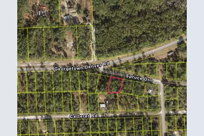 107 S Georgetown Point Road, Georgetown, FL 32139 - Photo 11