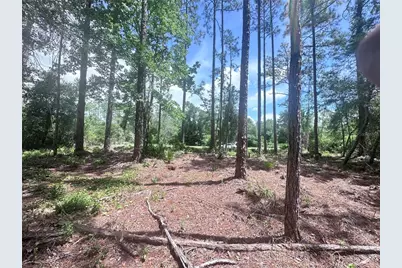 107 S Georgetown Point Road, Georgetown, FL 32139 - Photo 3