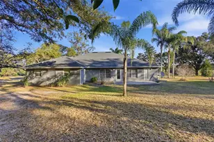 36602 Honey Tree Ct, Eustis, FL 32736 - Photo 7