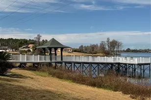 6990 Smithshire Ln, Windermere, FL 34786 - Photo 79