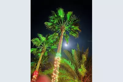 328 St George Drive, Davenport, FL 33837 - Photo 37