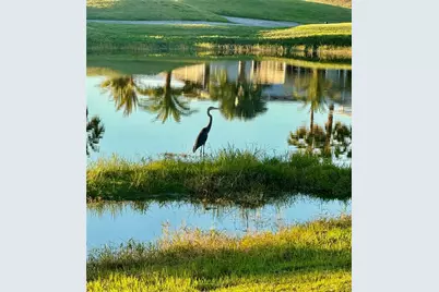 328 St George Drive, Davenport, FL 33837 - Photo 33