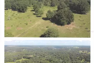 Buckaroo Ave, Eustis, FL 32726 - Photo 1