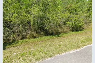 0 Pierre Ave, Saint Cloud, FL 34773 - Photo 3