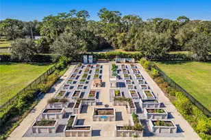 2302 Datura Loop, Saint Cloud, FL 34772 - Photo 45