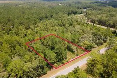 Saffron Avenue, Eustis, FL 32736 - Photo 5