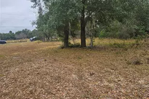 SE Hwy 42, Weirsdale, FL 32195 - Photo 1