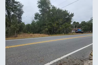 Se Highway 42, Weirsdale, FL 32195 - Photo 5