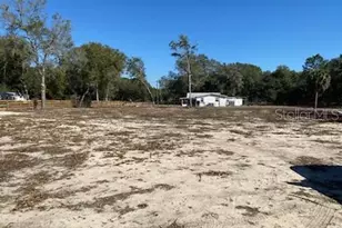 16010 SE 65th Street Rd, Ocklawaha, FL 32179 - Photo 1