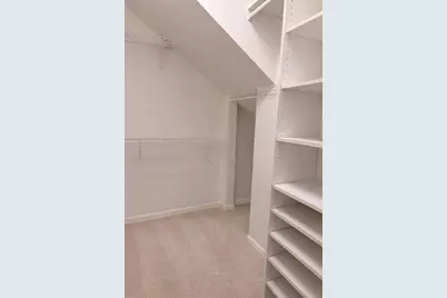 20428 Harvest Oak Court, Tampa, FL 33647 - Photo 13