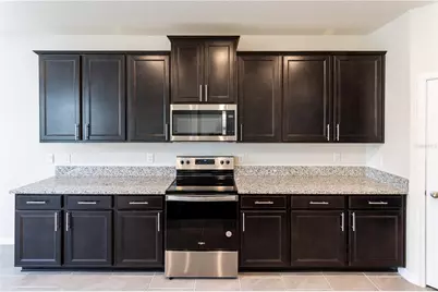 32183 Conchshell Sail Street, Wesley Chapel, FL 33545 - Photo 23