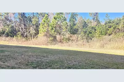 667 Bay Leaf Drive, Kissimmee, FL 34759 - Photo 13