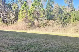 667 Bay Leaf Dr, Kissimmee, FL 34759 - Photo 13