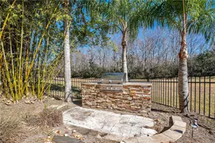 10420 Wittenberg Way, Orlando, FL 32832 - Photo 75